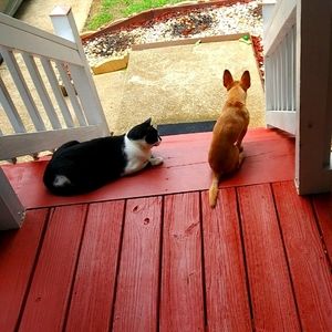 Sharing is caring and friends are sweet